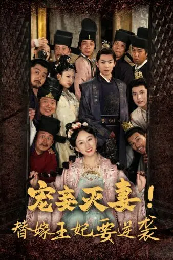 《宠妾灭妻！替嫁王妃要逆袭》：古代宅斗大戏，看落魄王妃如何华丽转身，成为复仇女王！