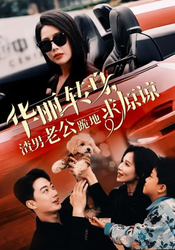 华丽转身渣男老公跪地求原谅 海报