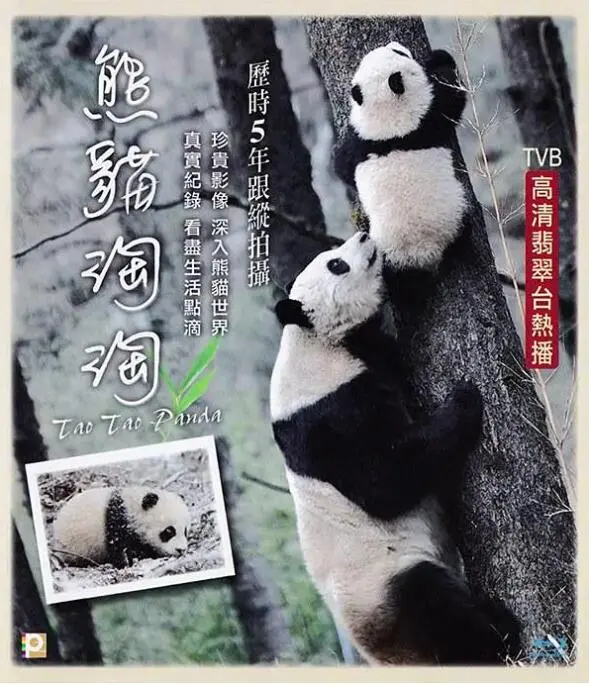 熊猫淘淘 海报