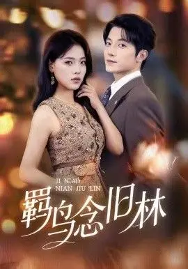 《羁鸟念旧林》：一场关于自由与束缚的动画片史诗，看得我心都飞了！